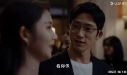 推理电视剧国产,传承与创新的艺术之旅