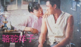 骆驼祥子电视剧,命运与抗争的悲歌