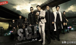 侦查破案的电视剧,揭秘侦查破案背后的惊心动魄