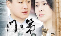 电视剧 门第,家族荣耀与命运纠葛的百年传奇