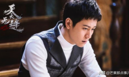 天衣无缝电视剧,谍影重重，爱恨交织的谍战传奇