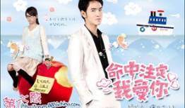 偶像 电视剧,电视剧中的璀璨星光