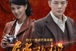 铁核桃电视剧,谍影重重，烽火岁月里的忠诚传奇