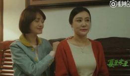 母亲母亲电视剧演员表