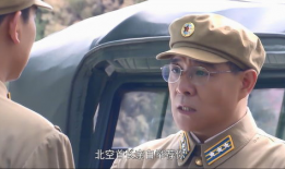 电视剧首长,权谋风云下的忠诚与抉择