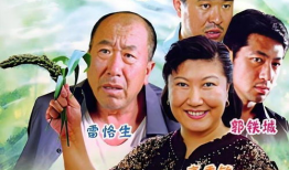 农村的电视剧,农村电视剧中的温馨岁月