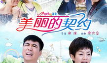 美丽的契约电视剧,爱恨交织的豪门纠葛