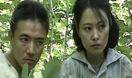 农村的电视剧,农村电视剧中的温馨岁月