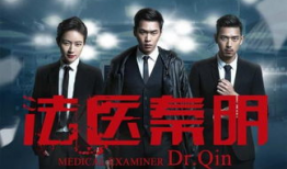 电视剧大全在线观看