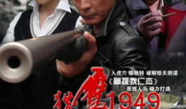 电视剧1949猎鹰,烽火岁月中的英雄传奇