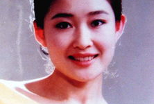 盖丽丽演的电视剧,情感纠葛与人生抉择