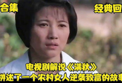 农村的女人电视剧,一部描绘农村女性生活的电视剧